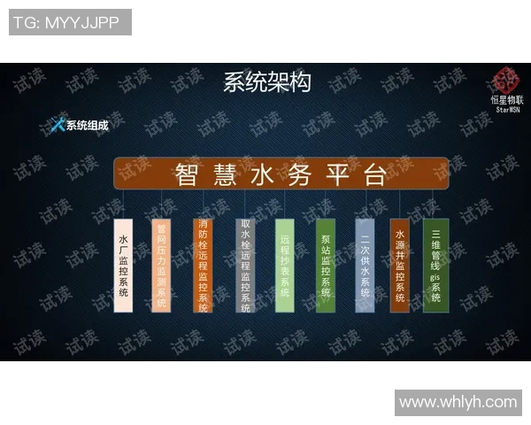 深圳排球队防反策略分析及其在比赛中的成效探讨